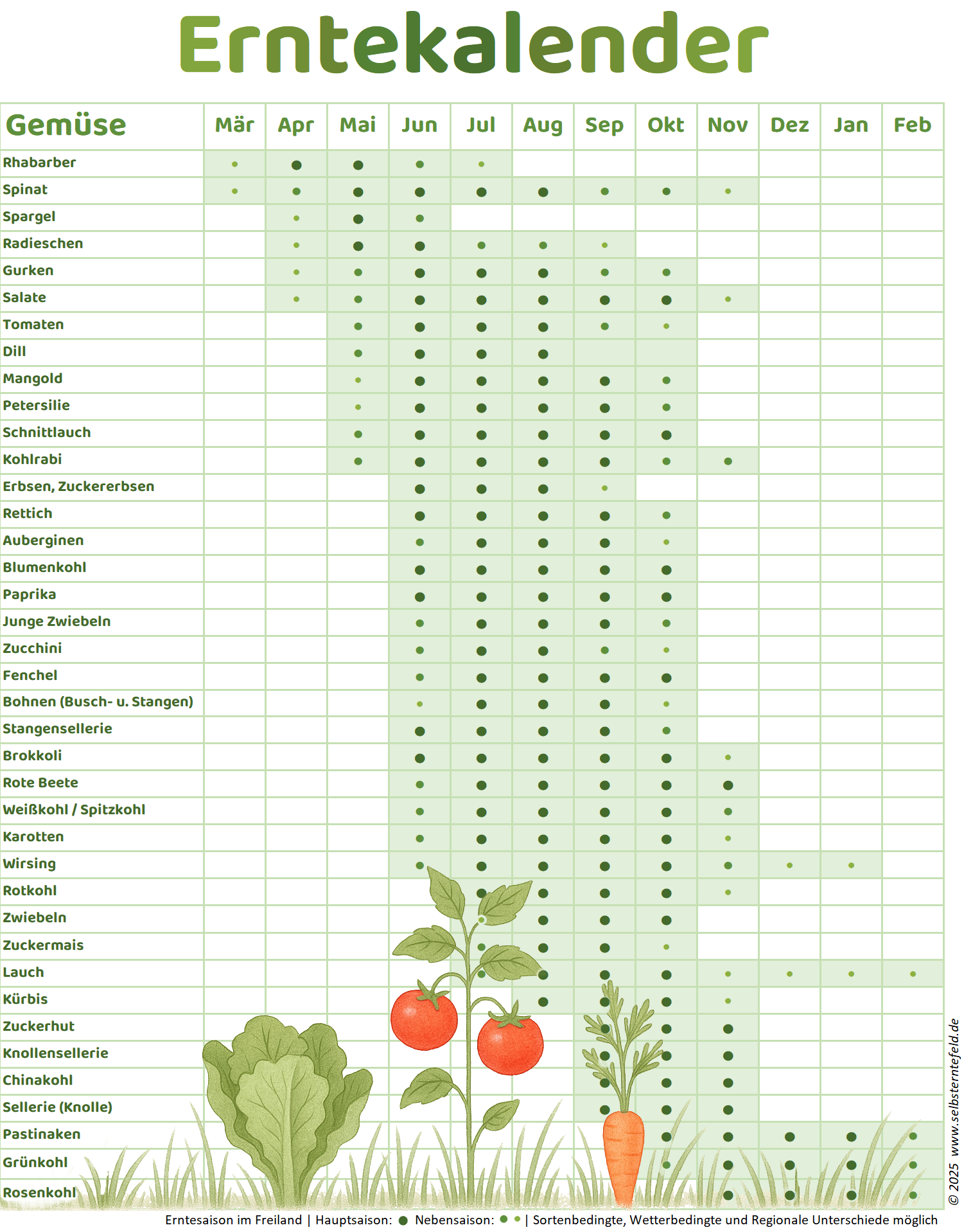 Erntekalender_Selbsterntefeld.de_Gemuese_2025